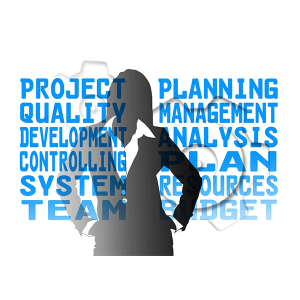Project Planning with a Quality Consultant